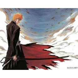 Bleach /sword Handmade / Animation/anupdated version/ Kurosaki Ichigo/ 天锁斩月/ZS80